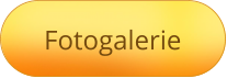 Fotogalerie